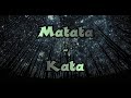 Matata Kata Tunes Town Official Lyric Video