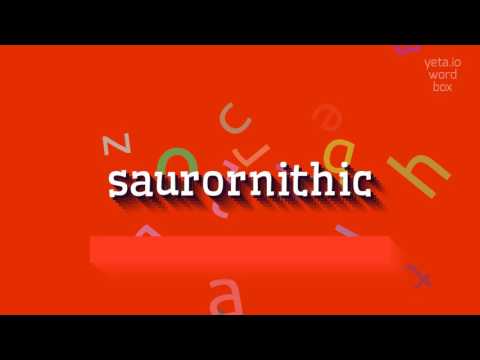 HOW TO PRONOUNCE SAURORNITHIC? #saurornithic