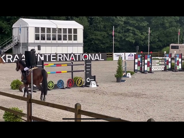 Dam Maxima T (Jump. 1m45)