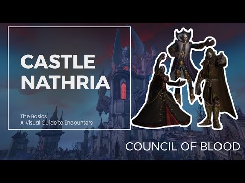 Castle Nathria Basic's - The Council of Blood