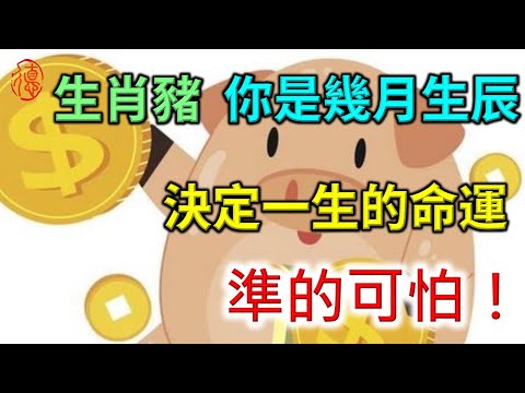 71年屬什麼