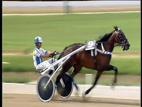 Trotto 07/06/2018 - 3ª corsa