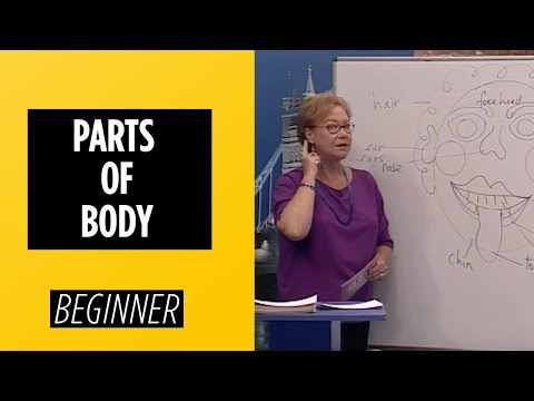 Beginner Level Weather Terms Present Continuous Tense | English For You