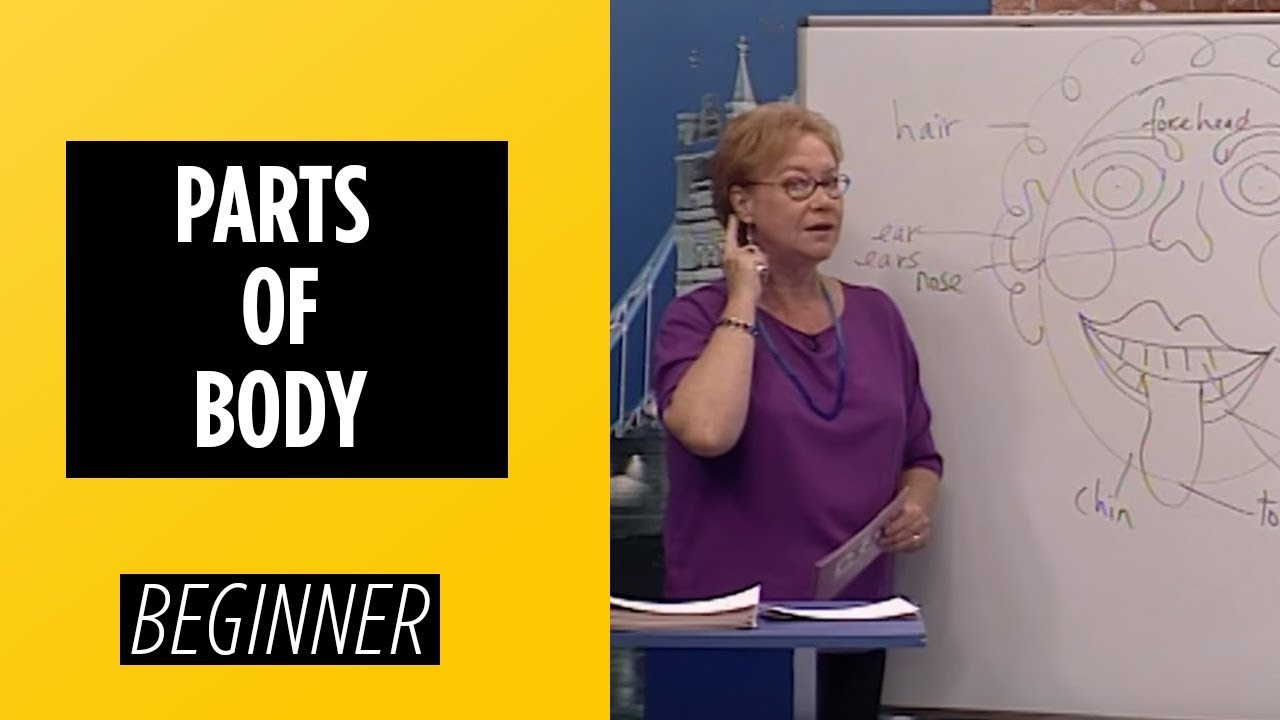 Beginner Level – Parts of Body | English For You