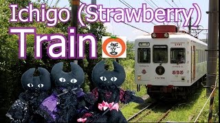 preview picture of video ' Ichigo ( Strawberry train )  My stuffed cats will introduce some tourists spots in Wakayama .'