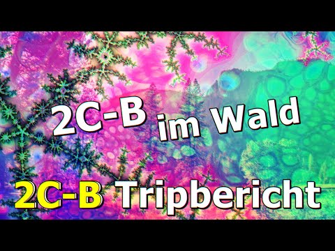,,2C-B im Wald" 🌈🌳 2C-B & Alkohol – Eure Berichte
