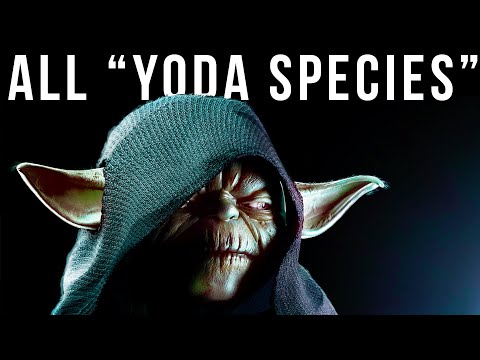 Yoda Species EVERY Member in Canon & Legends (So Far)