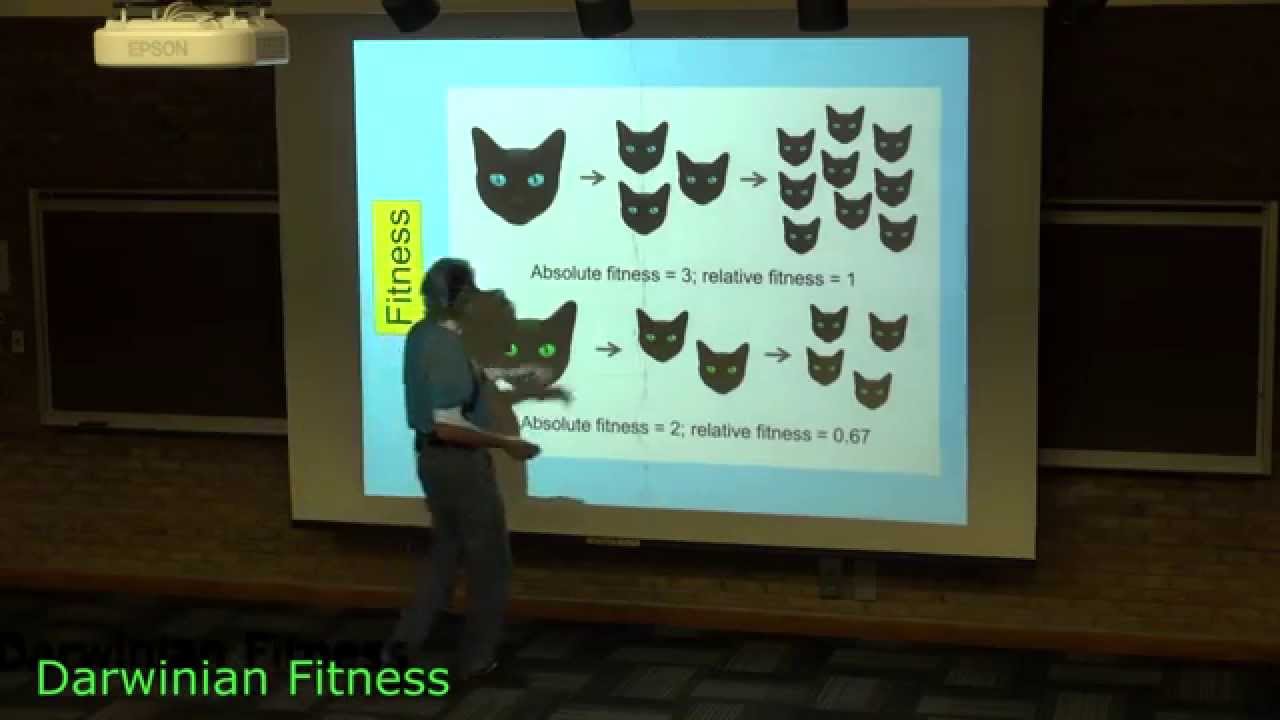 Darwinian Fitness