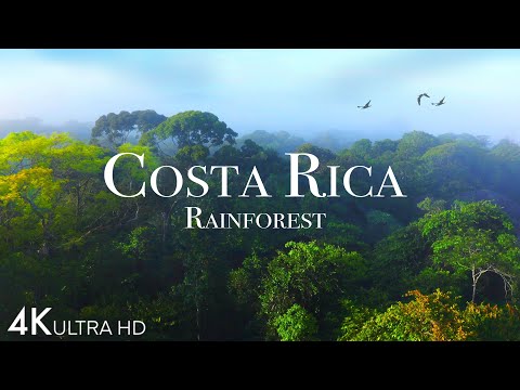 Costa Rica Rainforest Happiest Country On Earth With Exotic Wildlife