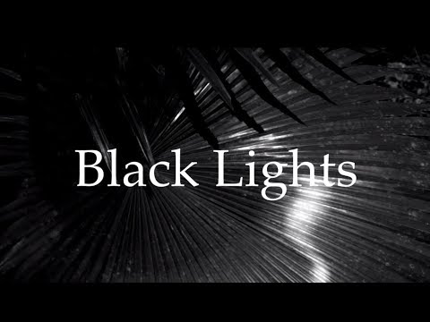 The Carbon Files - Black Lights (Music Video)