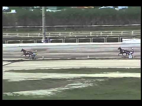 Trotto 29/03/2015 - 2° prova di riqualifica