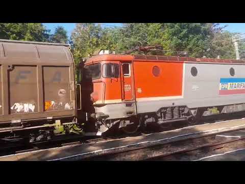 CFR MARFA Freight train in gara Sieu