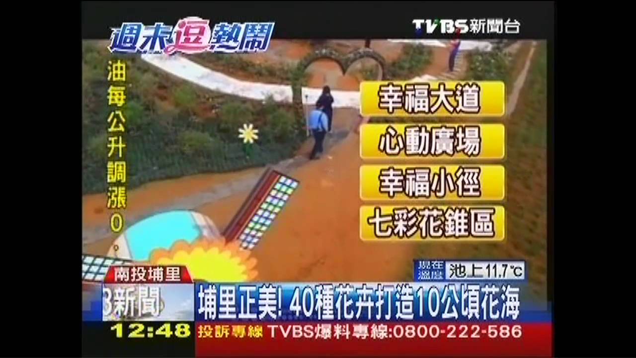 埔里正美! 40種花卉打造10公頃花海