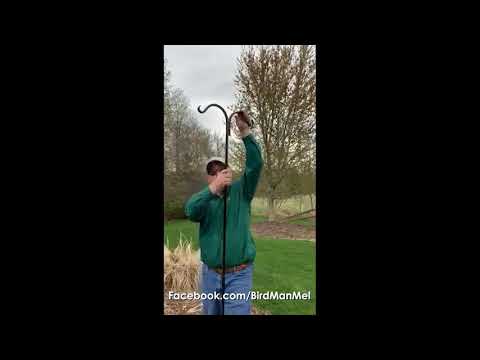 Lowes Shepherds Hook