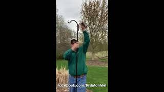 Sturdy Shepherd Hook from Backyard Essentials