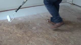 DYI easy Pet stains and odor in floors gone in one easy step with link to product in description
