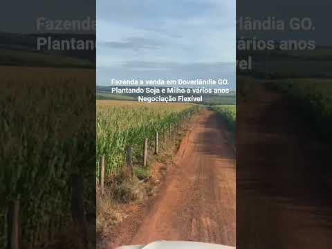 Fazenda a venda em Goiás, Plantando #soja #milho Região de Safra e Safrinha Cheia #business #fazenda