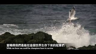 （Progressive）Shanahan - Wasting Time 原地打轉