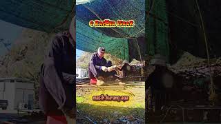 Download lagu yeleweng tarling tendung #musictarling #enakdidengar mp3