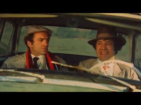 Il gatto di Brooklyn aspirante detective 1973