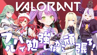 【 VALORANT 】フルパ…!わくわくっ!たくさん教えてもらいたい!【常闇トワ / ホロライブ】
