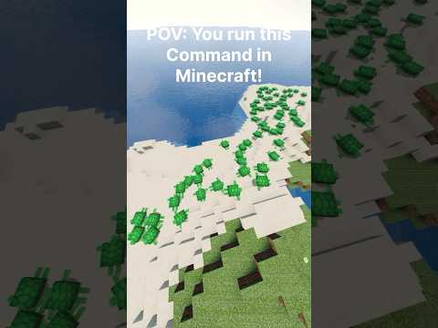 Insane Minecraft Command! MelonMC POV