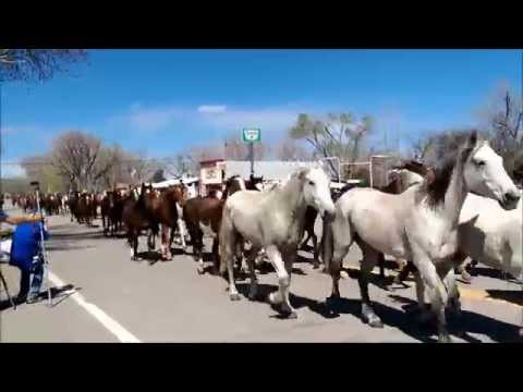 Great American Horse Drive, Maybell Co  05/03/15