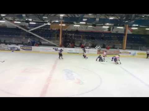 Żak Młodszy: Cracovia VS. Nowy Targ