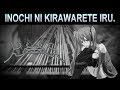 『Black MIDI』 Kanzaki Iori - Inochi ni Kirawarete iru. (Hated by life itself.) | w/ Zeria