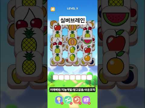실버브레인(과일버전)