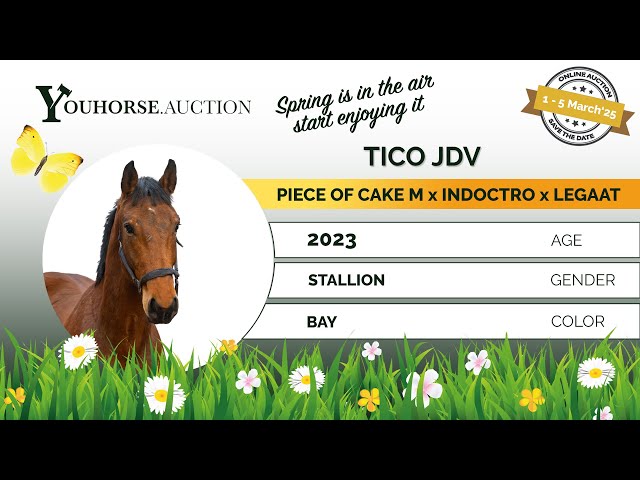 Tico JDV