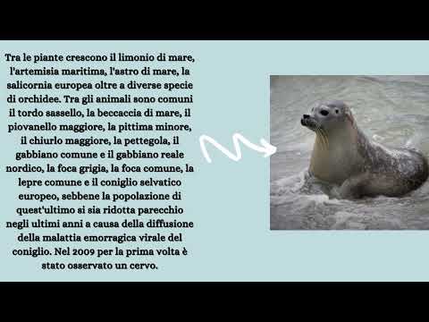 Anteprima: Parco nazionale di Schiermonnikoog