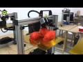 De Maakbare Wereld van 3D-printen: Ridix