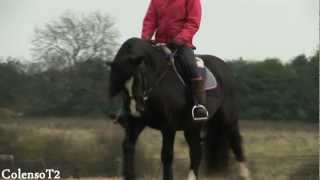 Cindy and Charlotte ~ Gold Dust