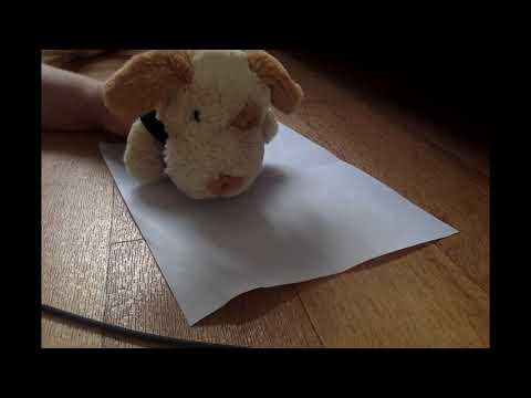 Henry Hound's House Party - Episode 9 (PART 1)