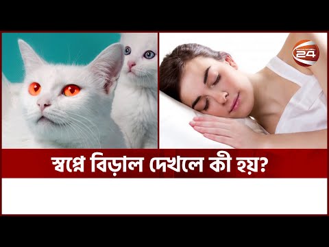 স্বপ্নে বিড়াল দেখা শুভ না অশুভ? | Dream Meaning | Channel 24