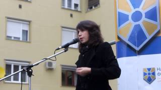 preview picture of video 'Тетяна Чорновол назвала Балогу сепаратистом - Мукачево'