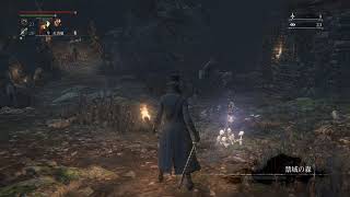 Bloodborne　配信