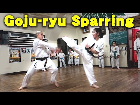 Goju-ryu Karate Sparring | Sport Kumite & Full contact | スポーツ組手＆フルコンタクト空手 | 沖縄伝統空手