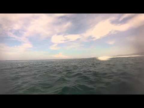 Ass dragged on the reef