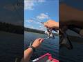 Video Thumbnail for Does this ever get old? #camping #fishing #walleye