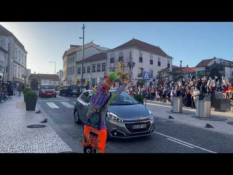 Karcocha en Ovar - Portugal.  P1