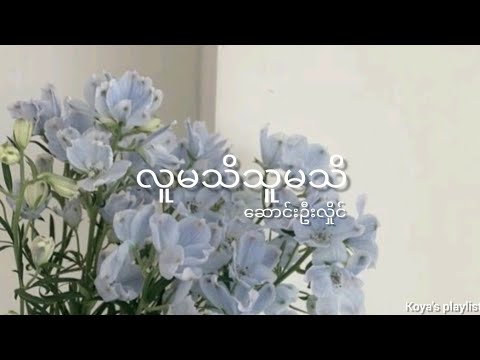 လူမသိသူမသိ - ဆောင်းဦးလှိုင် (Lyrics)