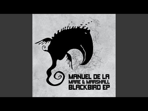 Hashish (Manuel De La Mare Mix)