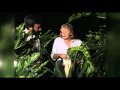 Burke S Backyard Pollination Of Rhododendron
