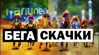 Галилео | Бега и скачки 🐎 Race and runs