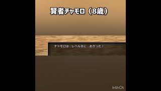 賢者チャモロ（めちゃめちゃ8歳） #ドラクエ3 #ドラクエ #ドラゴンクエスト #ドラクエ3リメイク  #ドラゴンクエスト3 #ドラゴンクエスト3リメイク #ゲーム実況