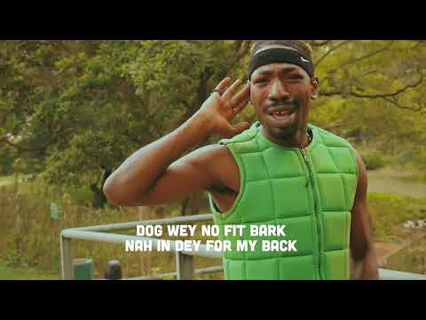 EESKAY  - Wildlife (VisualizEEr)