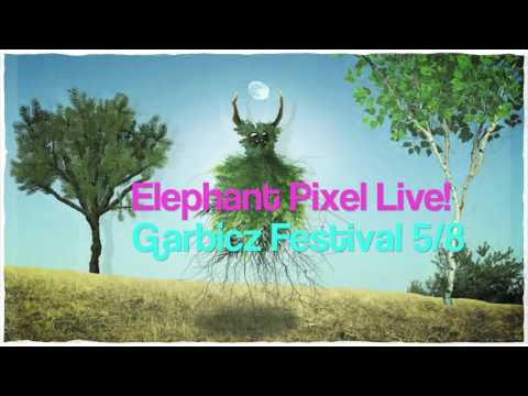 Elephant Pixel Live @ Garbicz Festival (Teaser)