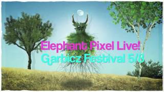Elephant Pixel Live @ Garbicz Festival (Teaser)